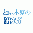 とある木原の研究者（ハウンドドック）