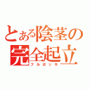 とある陰茎の完全起立（フルボッキ）