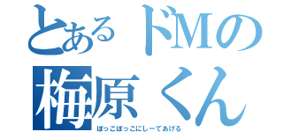 とあるドＭの梅原くん（ぼっこぼっこにしーてあげる）