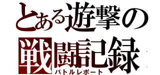 とある遊撃の戦闘記録（バトルレポート）