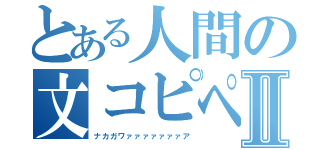 とある人間の文コピペⅡ（ナカガワァァァァァァァア）