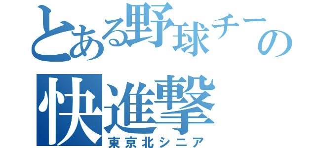 とある野球チームの快進撃（東京北シニア）