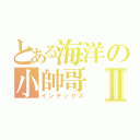 とある海洋の小帥哥Ⅱ（インデックス）