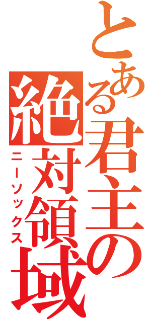 とある君主の絶対領域（ニーソックス）