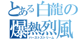 とある白龍の爆熱烈風（バーストストリーム）