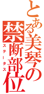 とある美琴の禁断部位（ステータス）