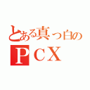 とある真っ白のＰＣＸ（）