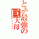 とある最強の巨大母（ビックママ）