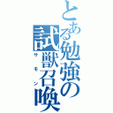 とある勉強の試獣召喚（サモン）