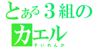 とある３組のカエル（すいれんか）