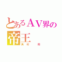 とあるＡＶ界の帝王（角村 翔）