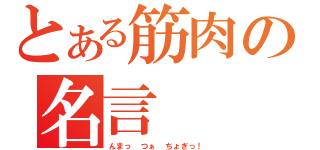 とある筋肉の名言（んまっ つぁ ちょぎっ！）