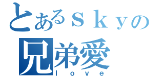 とあるｓｋｙの兄弟愛（ｌｏｖｅ）