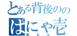 とある背後ののぱにゃ壱（粉もん）