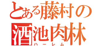 とある藤村の酒池肉林（ハーレム）