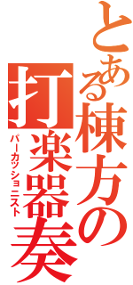 とある棟方の打楽器奏者（パーカッショニスト）