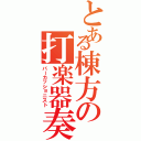 とある棟方の打楽器奏者（パーカッショニスト）