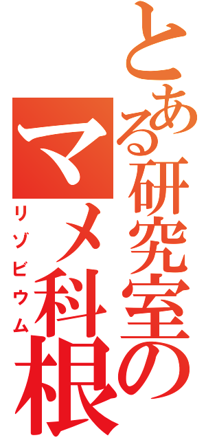 とある研究室のマメ科根粒菌Ⅱ（リゾビウム）