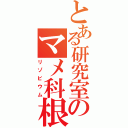 とある研究室のマメ科根粒菌Ⅱ（リゾビウム）