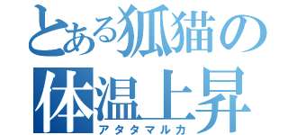 とある狐猫の体温上昇（アタタマルカ）