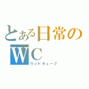 とある日常のＷＣ（ウッドキューブ）