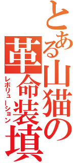 とある山猫の革命装填（レボリューション）