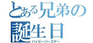 とある兄弟の誕生日（ハッピーバースデー）