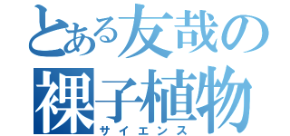 とある友哉の裸子植物（サイエンス）