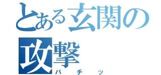 とある玄関の攻撃（バチッ）