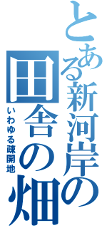 とある新河岸の田舎の畑（いわゆる疎開地）