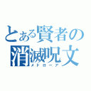 とある賢者の消滅呪文（メドローア）