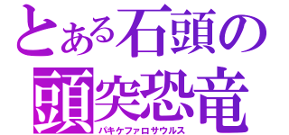 とある石頭の頭突恐竜（パキケファロサウルス）