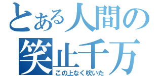 とある人間の笑止千万（この上なく吹いた）