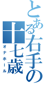 とある右手の十七歳（オナホール）