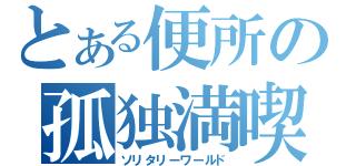 とある便所の孤独満喫（ソリタリーワールド）