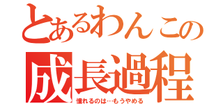 とあるわんこの成長過程（憧れるのは…もうやめる）