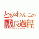 とあるわんこの成長過程（憧れるのは…もうやめる）