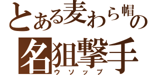 とある麦わら帽子の名狙撃手（ウソップ）