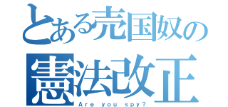 とある売国奴の憲法改正嫌悪論（Ａｒｅ ｙｏｕ ｓｐｙ？）