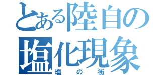 とある陸自の塩化現象（塩の街）