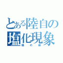 とある陸自の塩化現象（塩の街）