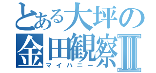 とある大坪の金田観察Ⅱ（マイハニー）