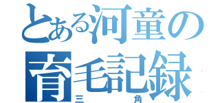 とある河童の育毛記録（三角）