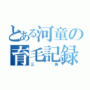 とある河童の育毛記録（三角）