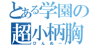 とある学園の超小柄胸（ひんぬー）