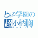 とある学園の超小柄胸（ひんぬー）