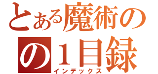 とある魔術のの１目録（インデックス）