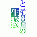 とある黄泉川の生放送（小萌え付き）