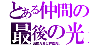 とある仲間の最後の光（お前たちは仲間だ、）