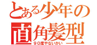 とある少年の直角髪型（９０度やないかい）